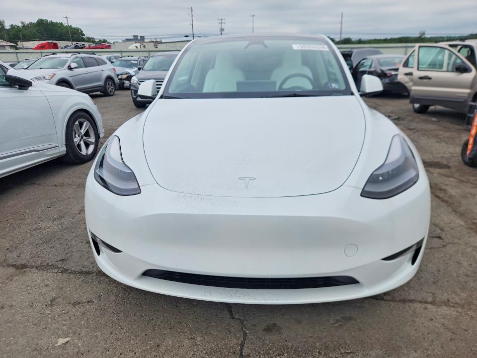 59353336 :رقم المزاد ، 7SAYGDEE4PF796230 vin ، 2023 Tesla Model Y مزاد بيع