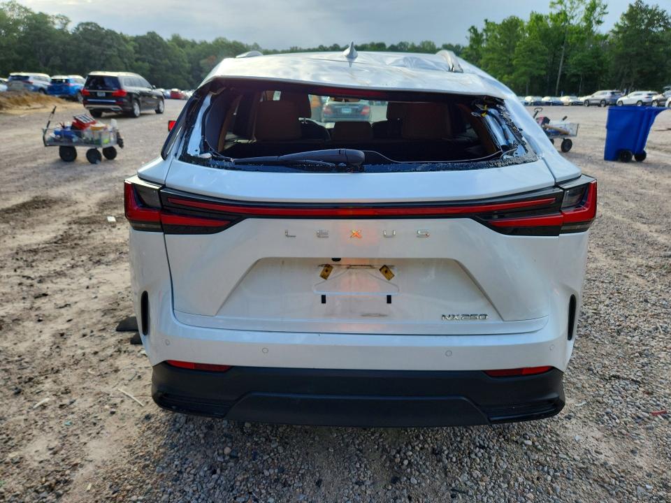 Aukcja sprzedaży 2022 Lexus Nx, vin: 2T2GDCAZ4NC002585, numer aukcji: 61189356