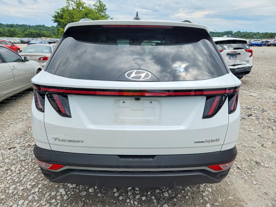 60206666 :رقم المزاد ، KM8JFCA16PU122341 vin ، 2023 Hyundai Tucson مزاد بيع