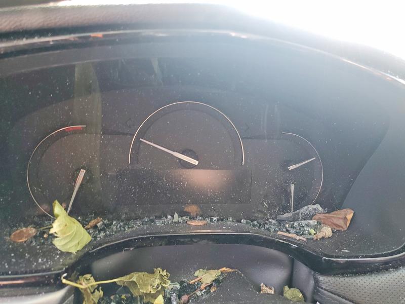 61245226 :رقم المزاد ، 1GYKNDRSXKZ290231 vin ، 2019 Cadillac Xt5 مزاد بيع