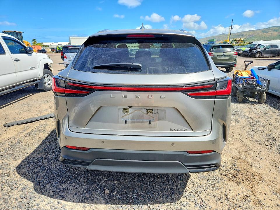 Продаж на аукціоні авто 2023 Lexus Nx, vin: JTJGDCAZ1P5011360, номер лоту: 59715896