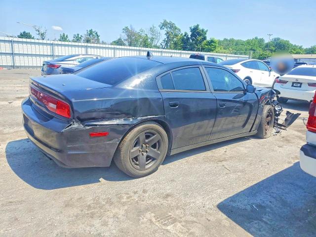 Продажа на аукционе авто 2014 Dodge Charger, vin: 2C3CDXAT1EH198761, номер лота: 60569686