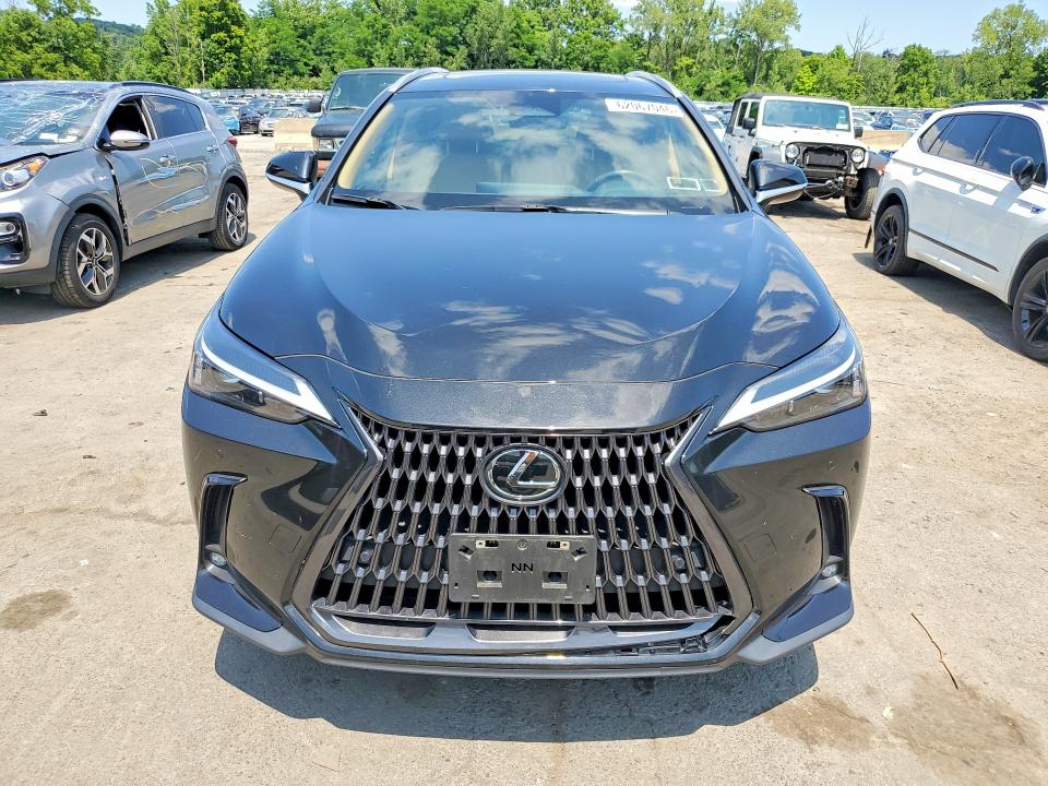 Aukcja sprzedaży 2025 Lexus Nx, vin: 2T2GGCEZ3SC062743, numer aukcji: 62067046
