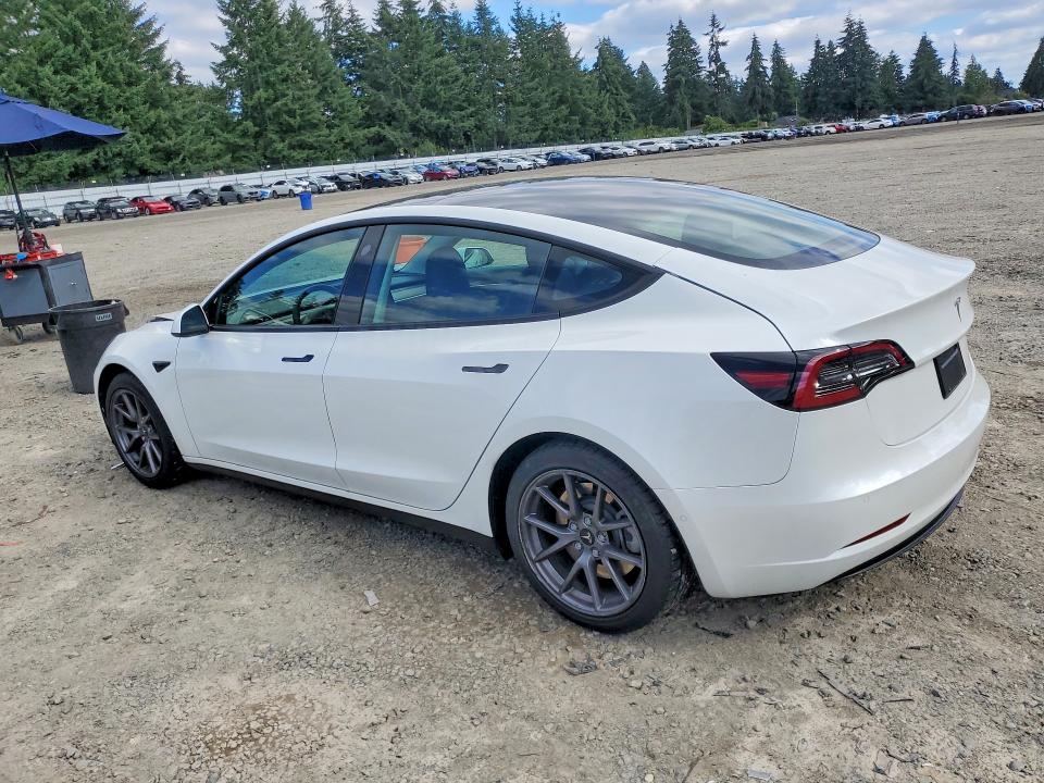 Aukcja sprzedaży 2021 Tesla Model 3, vin: 5YJ3E1EA8MF016539, numer aukcji: 59702106