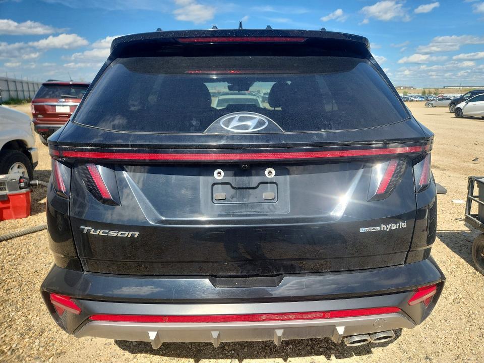Продажа на аукционе авто 2024 Hyundai Tucson, vin: KM8JCCD10RU141278, номер лота: 60246106