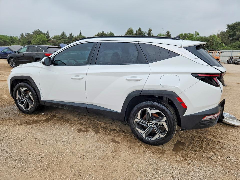 2024 Hyundai Tucson მანქანა იყიდება აუქციონზე, vin: 5NMJFCDE4RH393136, აუქციონის ნომერი: 62438086