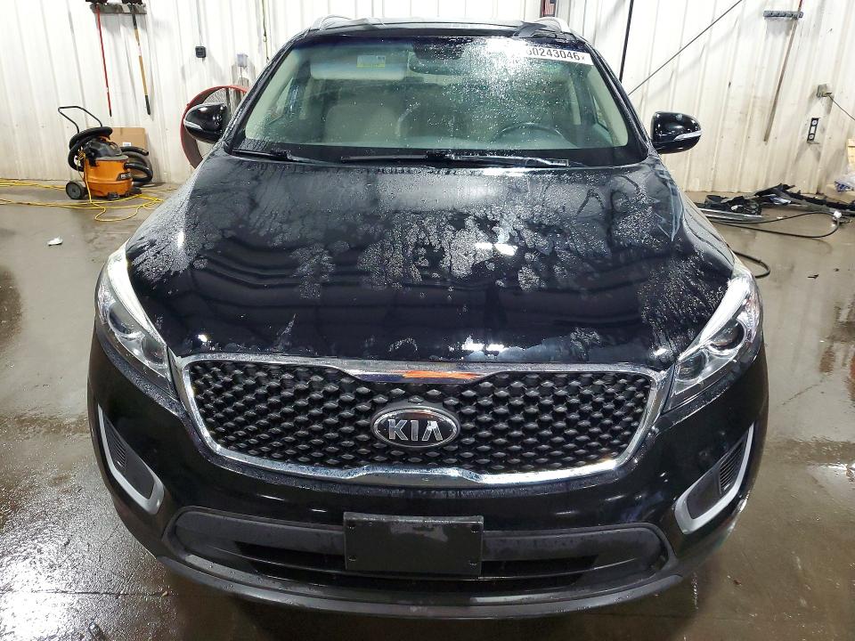 60243046 :رقم المزاد ، 5XYPGDA57JG421060 vin ، 2018 Kia Sorento مزاد بيع