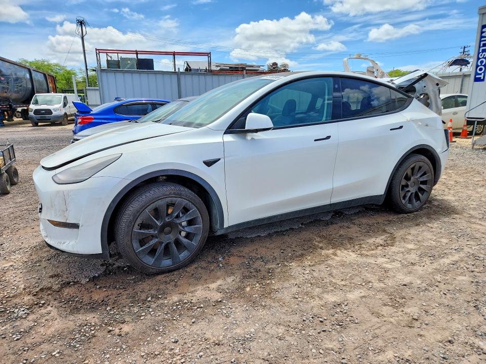 Aukcja sprzedaży 2021 Tesla Model Y, vin: 5YJYGDED6MF192792, numer aukcji: 61015556