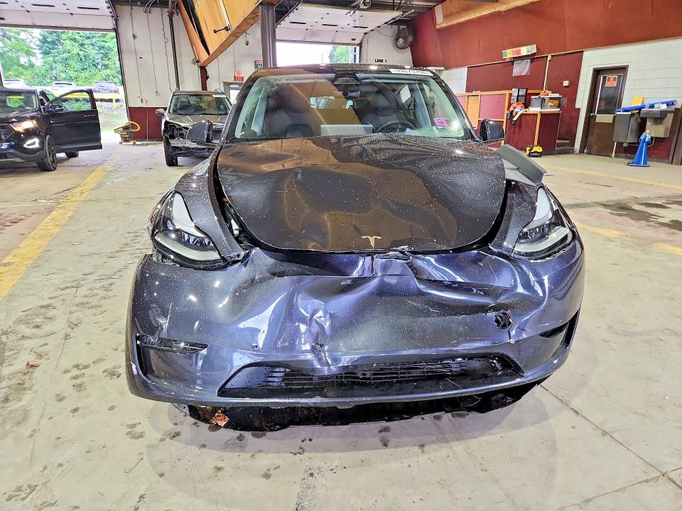 Aukcja sprzedaży 2024 Tesla Model Y, vin: 7SAYGDEE2RA269156, numer aukcji: 59673796