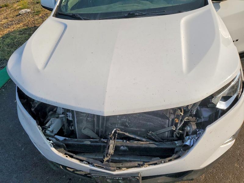 62101336 :رقم المزاد ، 3GNAXUEV9KS534404 vin ، 2019 Chevrolet Equinox مزاد بيع