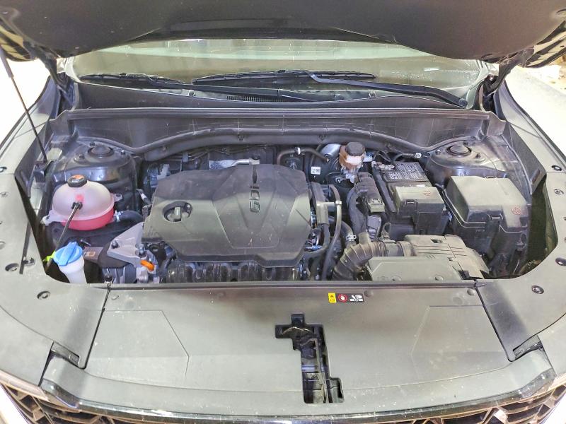 2024 Kia Sorento მანქანა იყიდება აუქციონზე, vin: 5XYRLDJC9RG288431, აუქციონის ნომერი: 60245006
