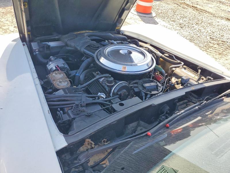 1981 Chevrolet Corvette მანქანა იყიდება აუქციონზე, vin: 1G1AY8761BS405158, აუქციონის ნომერი: 61999836