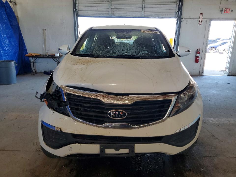 Продаж на аукціоні авто 2011 Kia Sportage, vin: KNDPBCA27B7075895, номер лоту: 60501666