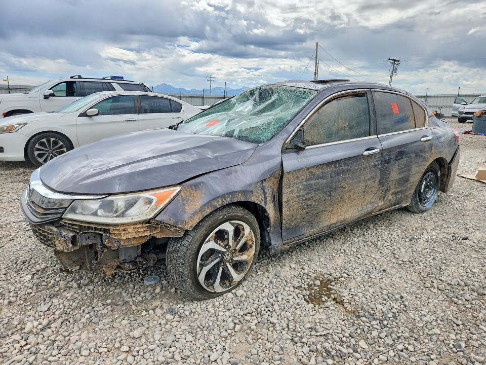 Продаж на аукціоні авто 2016 Honda Accord, vin: 1HGCR2F86GA243703, номер лоту: 59172916