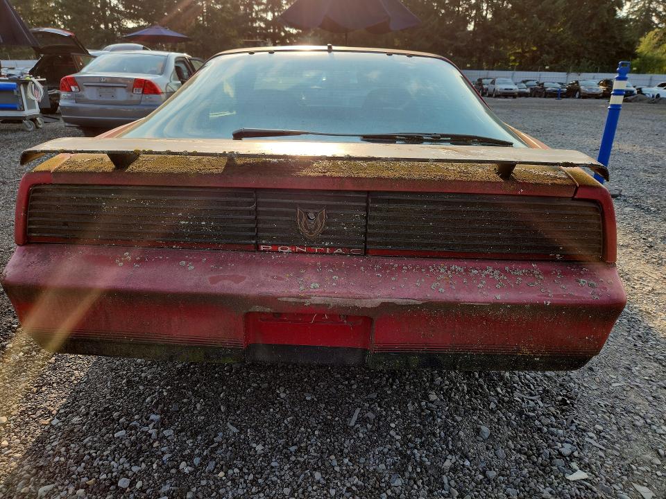 61086786 :رقم المزاد ، 1G2AW8779CL558084 vin ، 1982 Pontiac Firebird مزاد بيع
