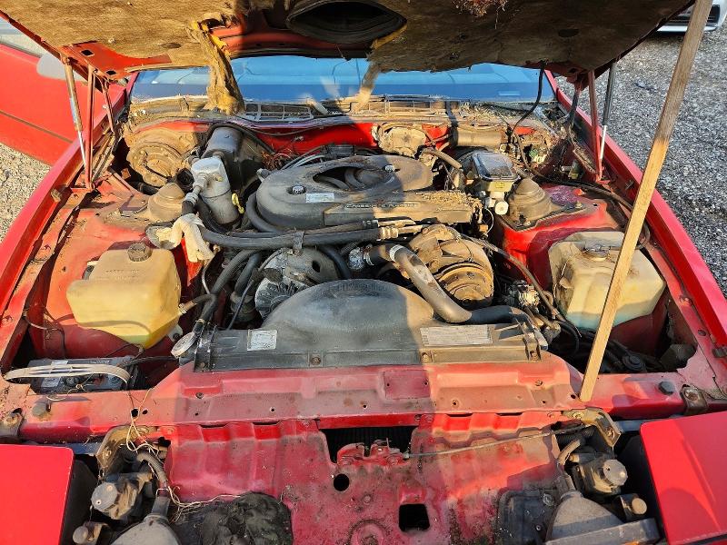 61086786 :رقم المزاد ، 1G2AW8779CL558084 vin ، 1982 Pontiac Firebird مزاد بيع