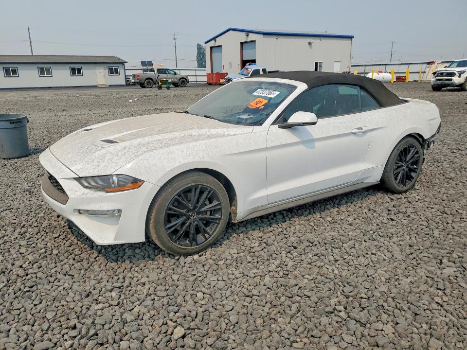 Auction sale of the 2019 Ford Mustang, vin: 1FATP8UHXK5182048, lot number: 62337066