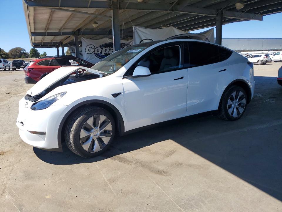 59905486 :رقم المزاد ، 7SAYGDEE3PF742918 vin ، 2023 Tesla Model Y مزاد بيع