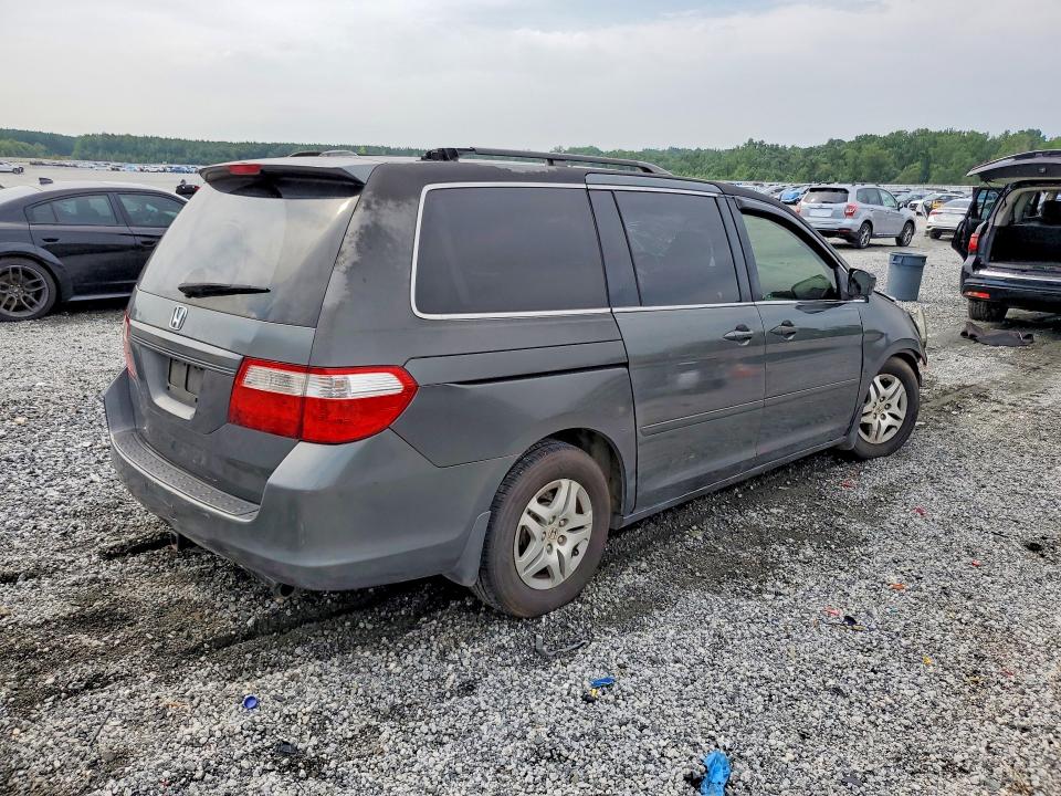 62204666 :رقم المزاد ، 5FNRL38767B131494 vin ، 2007 Honda Odyssey مزاد بيع