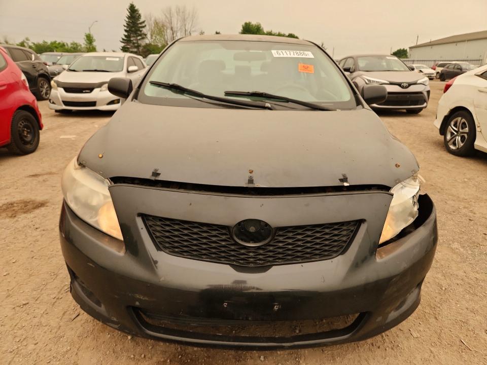 61177886 :رقم المزاد ، 2T1BU40E59C101473 vin ، 2009 Toyota Corolla مزاد بيع