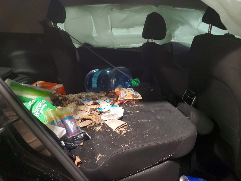 61340696 :رقم المزاد ، KNDPM3AC4N7014527 vin ، 2022 Kia Sportage مزاد بيع