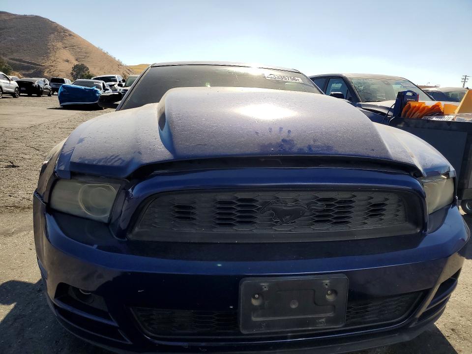 63335756 :رقم المزاد ، 1ZVBP8AM2D5282118 vin ، 2013 Ford Mustang مزاد بيع