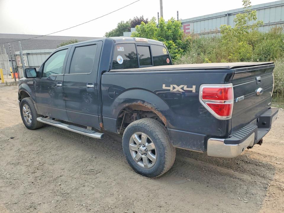 61296246 :رقم المزاد ، 1FTFW1EF6DFB08279 vin ، 2013 Ford F150 مزاد بيع