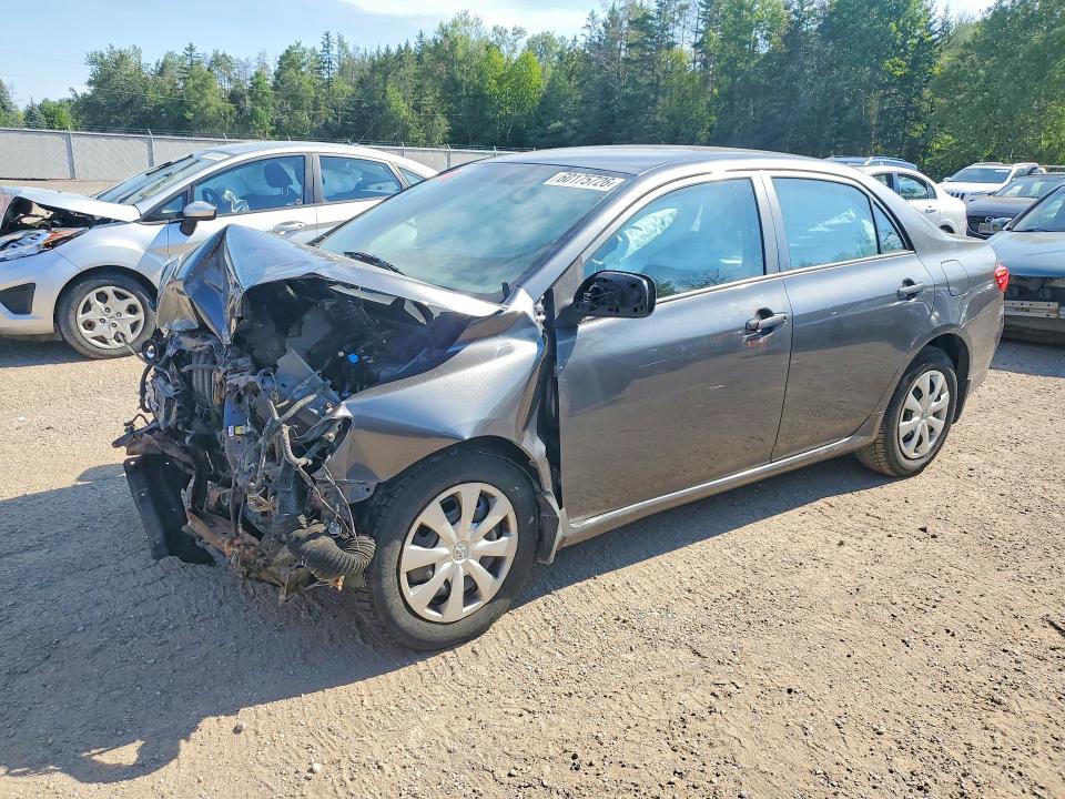 2010 Toyota Corolla მანქანა იყიდება აუქციონზე, vin: 2T1BU4EE3AC498288, აუქციონის ნომერი: 60175726
