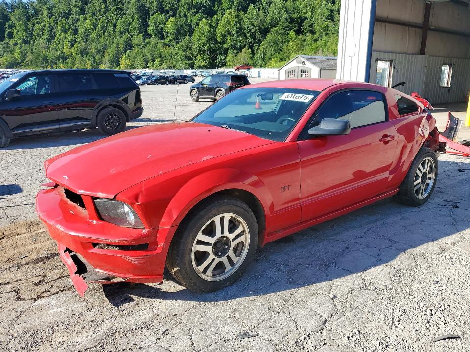 Продаж на аукціоні авто 2005 Ford Mustang, vin: 1ZVFT82H555103781, номер лоту: 62055916