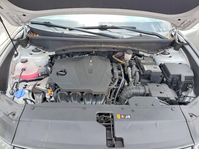 Aukcja sprzedaży 2024 Hyundai Tucson, vin: 5NMJB3DE2RH428784, numer aukcji: 62573046