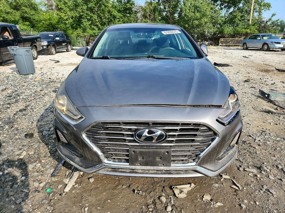 Продаж на аукціоні авто 2019 Hyundai Sonata, vin: 5NPE24AF3KH755837, номер лоту: 61290676