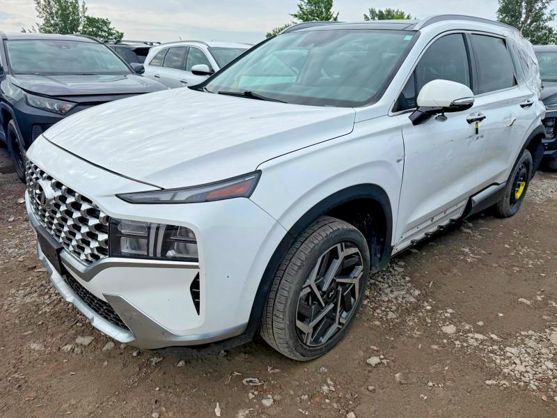 2023 Hyundai Santa Fe მანქანა იყიდება აუქციონზე, vin: KM8S5DA19PU099554, აუქციონის ნომერი: 60777636