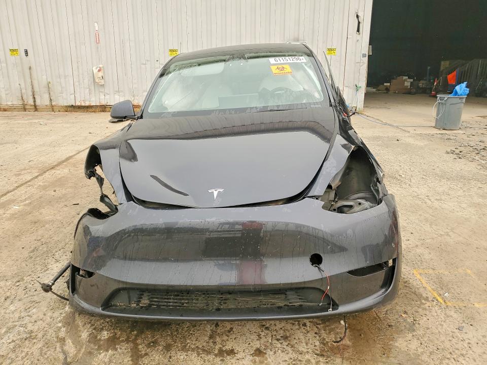61151296 :رقم المزاد ، 7SAYGDEF8SF310827 vin ، 2025 Tesla Model Y مزاد بيع