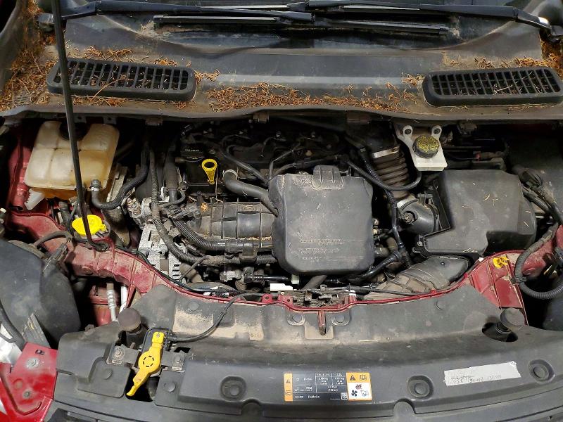 60268676 :رقم المزاد ، 1FMCU9GX1EUE00671 vin ، 2014 Ford Escape مزاد بيع