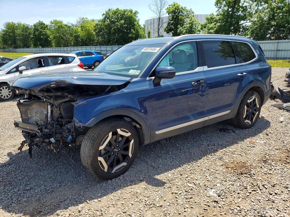 Aukcja sprzedaży 2024 Kia Telluride, vin: 5XYP6DGC6RG451011, numer aukcji: 60070406