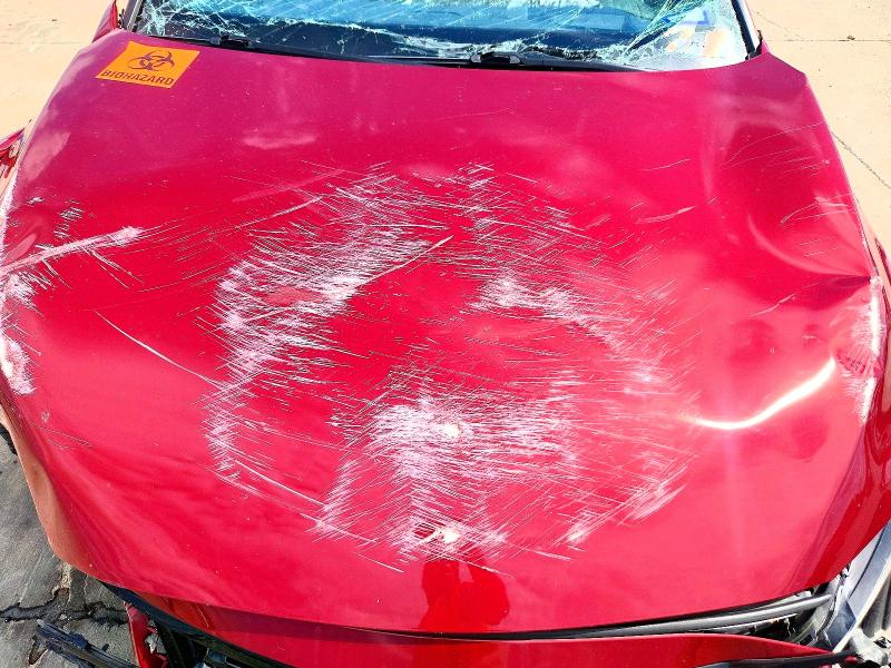 60147966 :رقم المزاد ، 4T1GZ1FB9MU057035 vin ، 2021 Toyota Avalon مزاد بيع