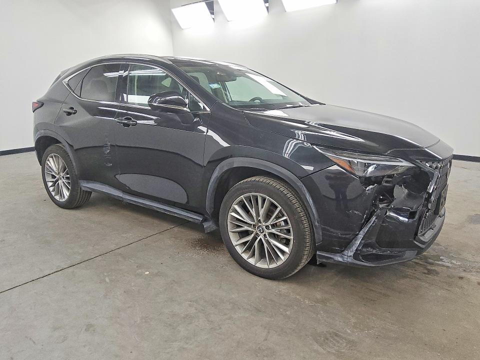2024 Lexus Nx მანქანა იყიდება აუქციონზე, vin: 2T2HGCEZ4RC048672, აუქციონის ნომერი: 59300536