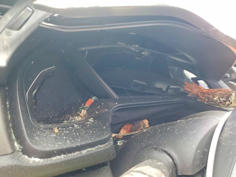 Продажа на аукционе авто 2020 Honda Civic, vin: 2HGFC2F66LH586505, номер лота: 61216646