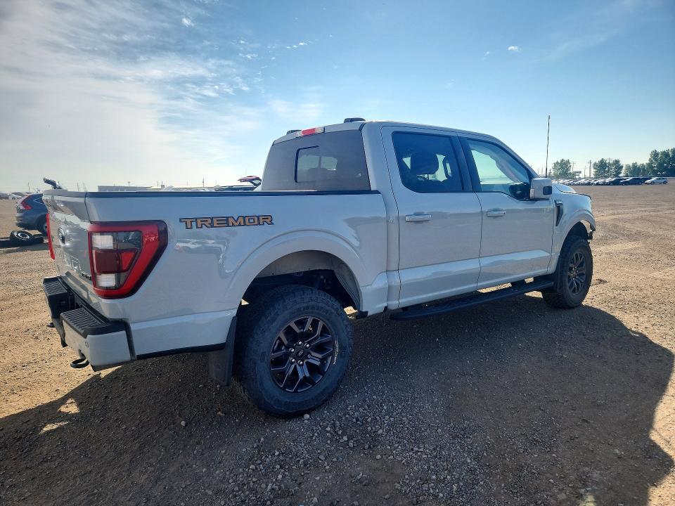 Продажа на аукционе авто 2023 Ford F150, vin: 1FTEW1E8XPFC95981, номер лота: 60581866