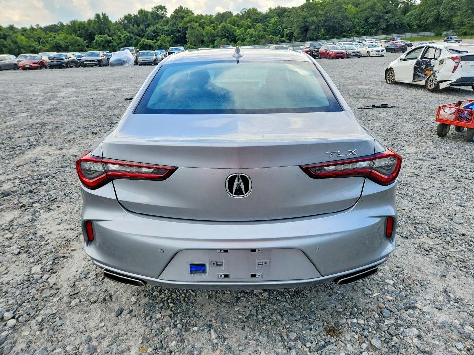 Продаж на аукціоні авто 2025 Acura Tlx, vin: 19UUB5F41SA001031, номер лоту: 61561096
