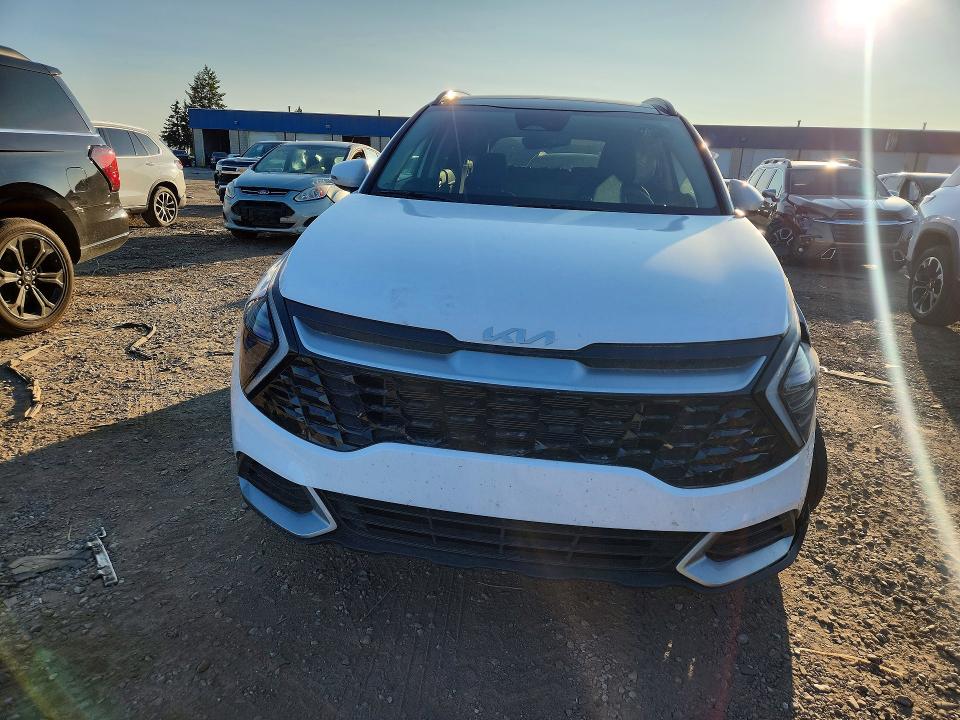 Продаж на аукціоні авто 2025 Kia Sportage, vin: 5XYK3CDF9SG241830, номер лоту: 61748186