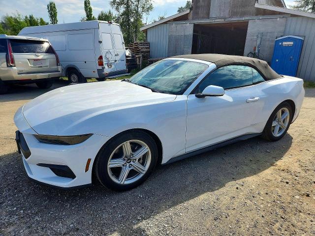 61669376 :رقم المزاد ، 1FAGP8UH1T5121013 vin ، 2026 Ford Mustang مزاد بيع