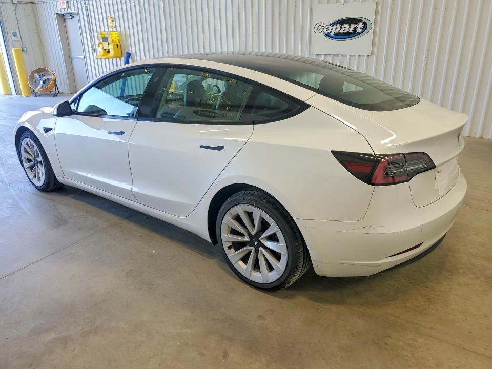 59342206 :رقم المزاد ، 5YJ3E1EA9PF448822 vin ، 2023 Tesla Model 3 مزاد بيع
