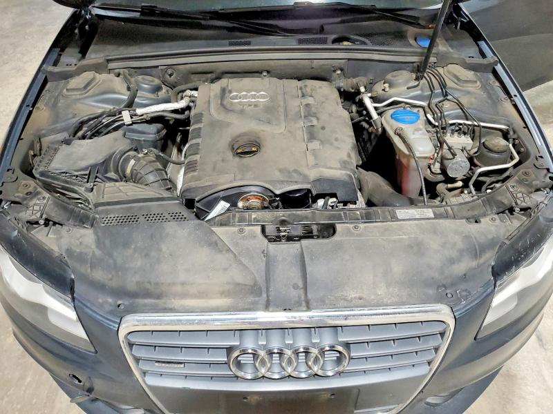 59156456 :رقم المزاد ، WAUSF78K09N032532 vin ، 2009 Audi A4 مزاد بيع