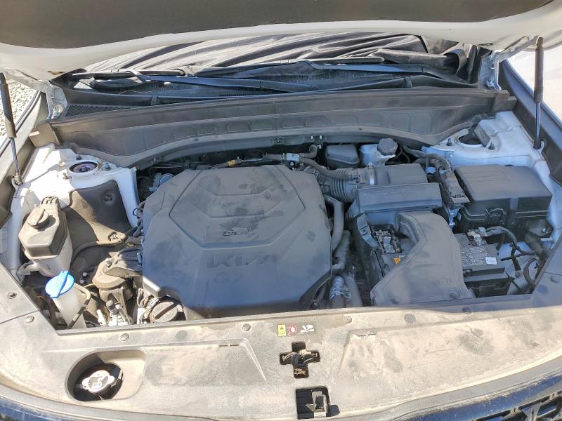 Продаж на аукціоні авто 2024 Kia Telluride, vin: 5XYP5DGCXRG550434, номер лоту: 62867366
