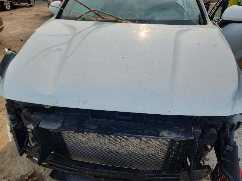Auction sale of the 2019 Hyundai Santa Fe, vin: 5NMS3CAD3KH004551, lot number: 61103606