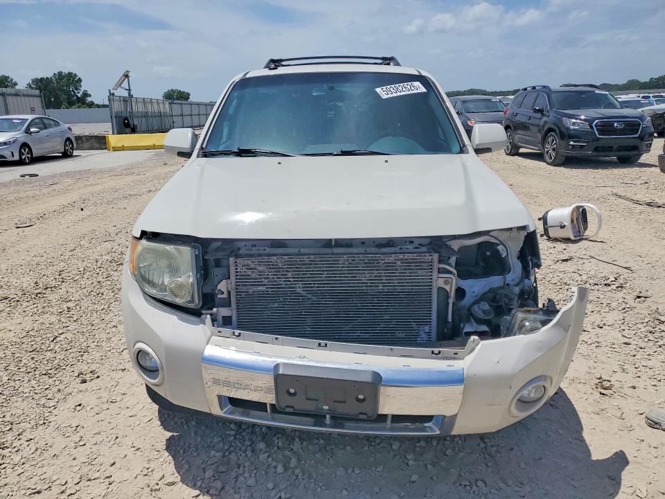 Продажа на аукционе авто 2010 Ford Escape, vin: 1FMCU0E70AKD19696, номер лота: 59382626