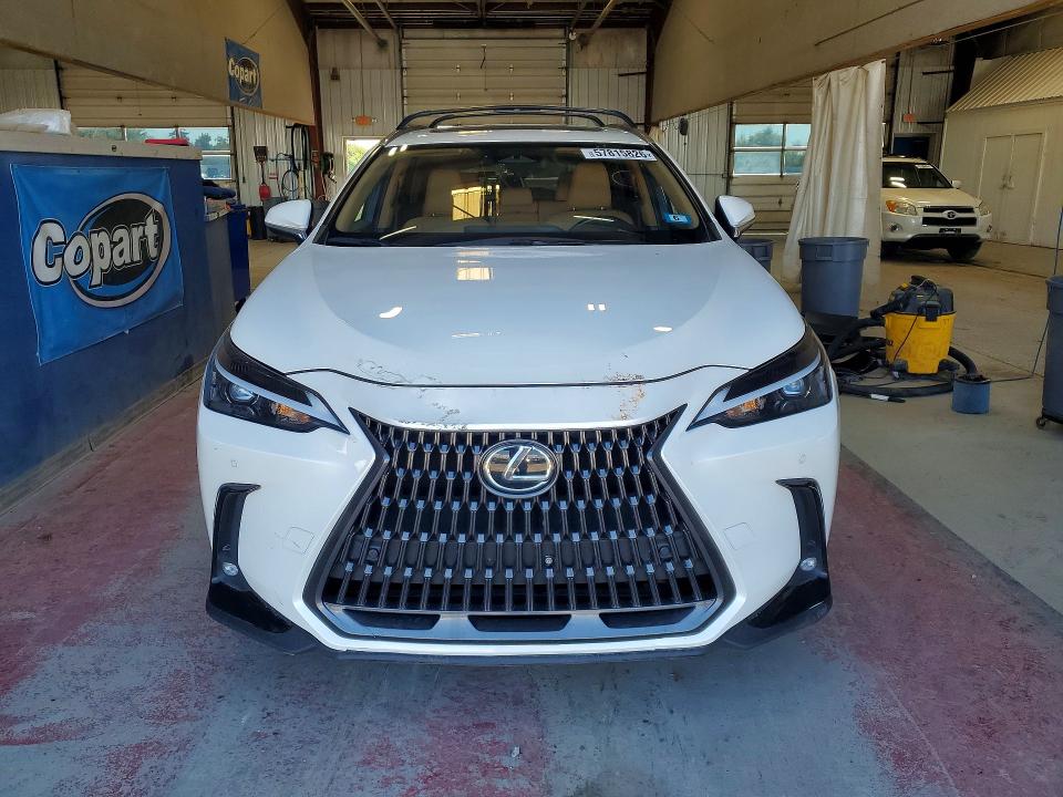 Продажа на аукционе авто 2024 Lexus Nx, vin: JTJGGCEZ6R2011148, номер лота: 57815826