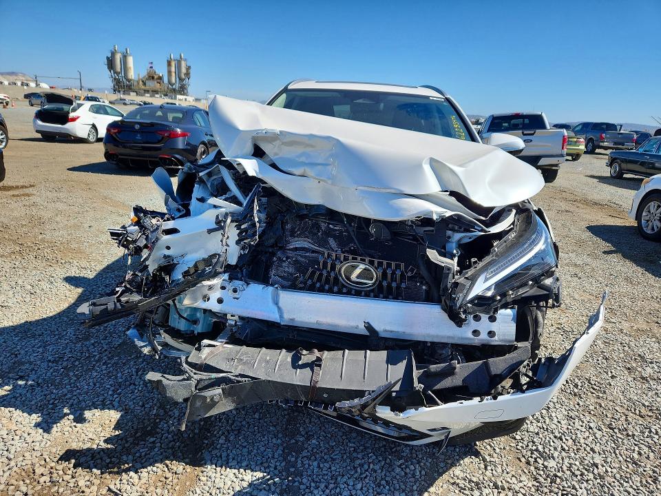 62283446 :رقم المزاد ، JTJHKCFZXR2034644 vin ، 2024 Lexus Nx 450h+ مزاد بيع