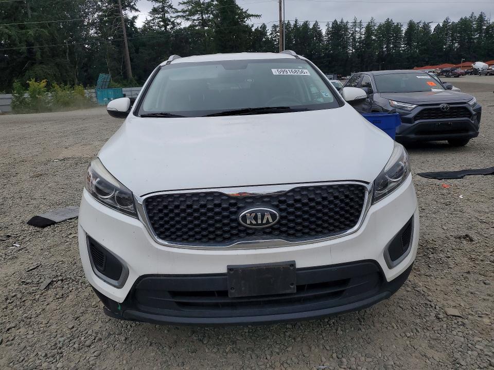 59916856 :رقم المزاد ، 5XYPGDA56HG196141 vin ، 2017 Kia Sorento مزاد بيع